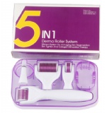 5in1 derma roller