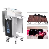 5d lipo laser slimming machine with 2 wavelength